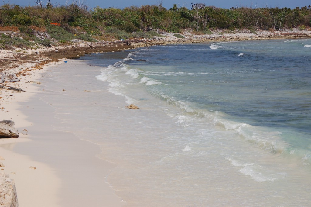 DSC_0029.JPG