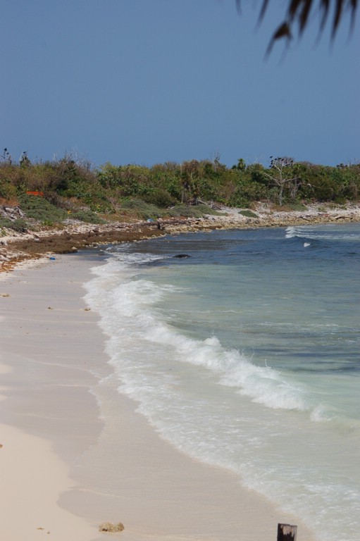 DSC_0030.JPG