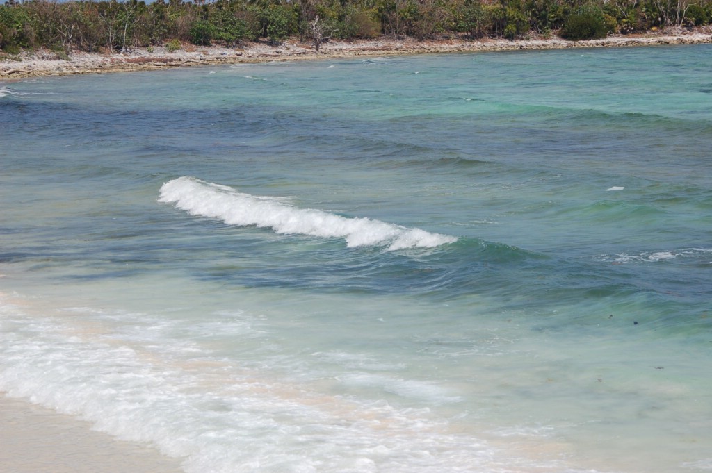 DSC_0032.JPG