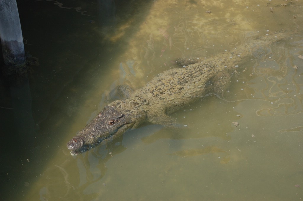 DSC_0034.JPG