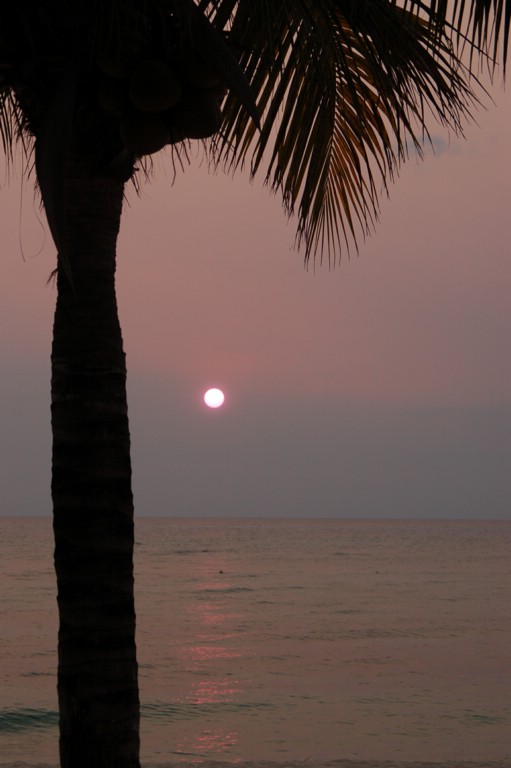 DSC_0053.JPG