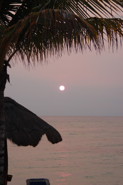 DSC_0056.JPG
