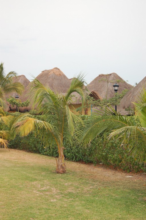 DSC_0060.JPG