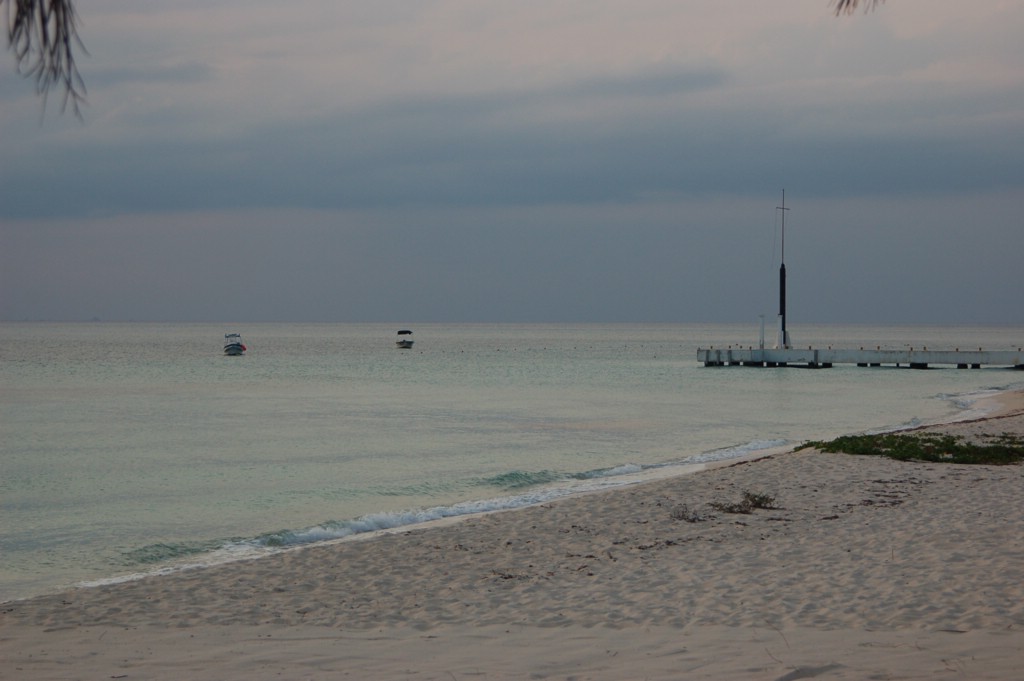 DSC_0084.JPG