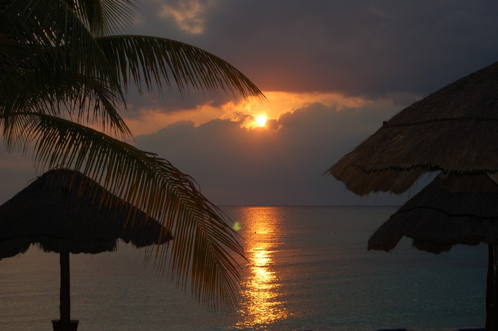 DSC_0099.JPG