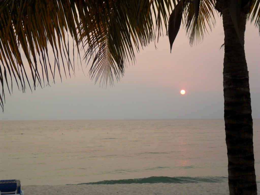 SAM_0114.JPG