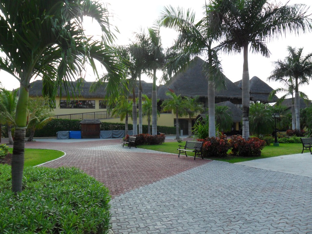 SAM_0154.JPG