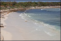 DSC_0029.JPG