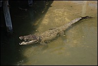 DSC_0039.JPG