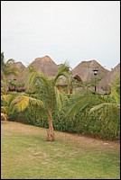 DSC_0060.JPG