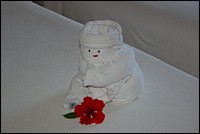 DSC_0063.JPG