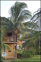 DSC_0074.JPG