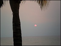 SAM_0119.JPG
