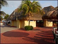 SAM_0136.JPG