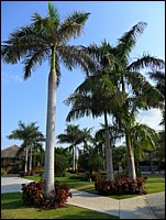 SAM_0156.JPG