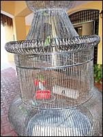 SAM_0157.JPG