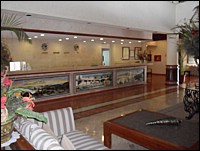SAM_0158.JPG