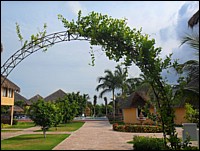 SAM_0173.JPG