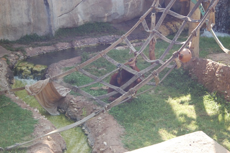 DSC_0001.JPG