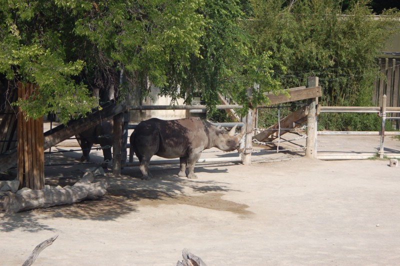 DSC_0002.JPG