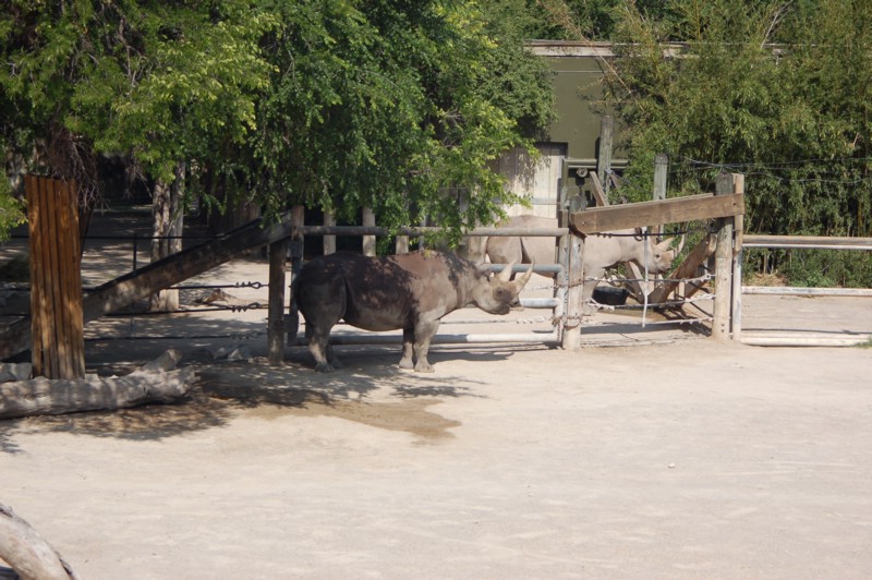 DSC_0003.JPG