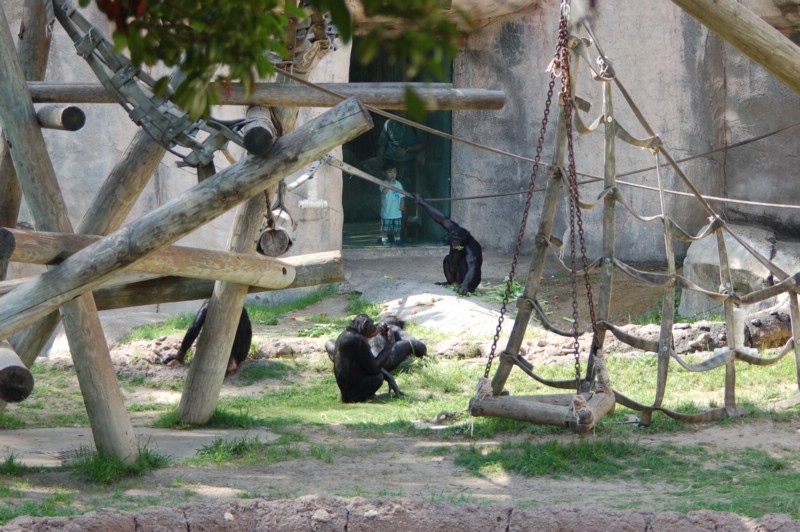 DSC_0007.JPG
