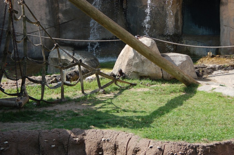 DSC_0008.JPG