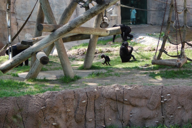 DSC_0009.JPG