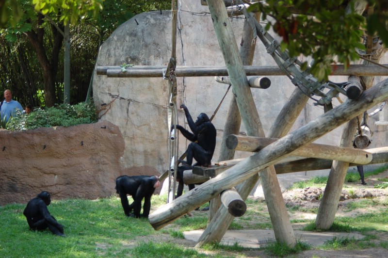 DSC_0010.JPG
