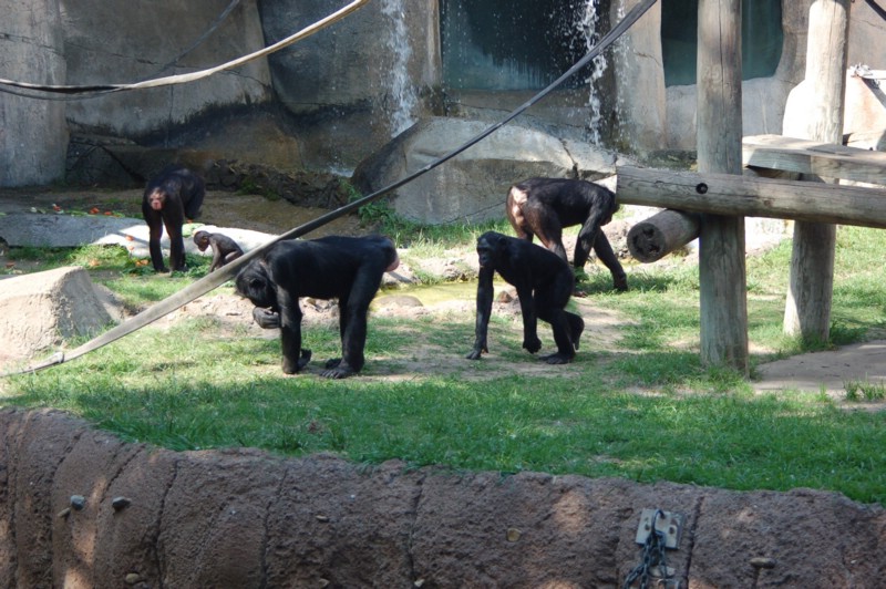 DSC_0011.JPG