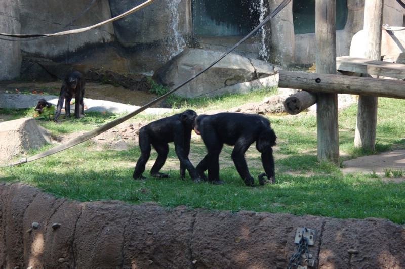 DSC_0012.JPG