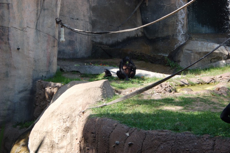 DSC_0013.JPG