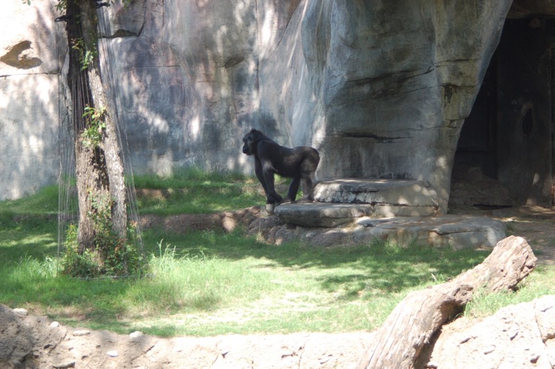 DSC_0014.JPG