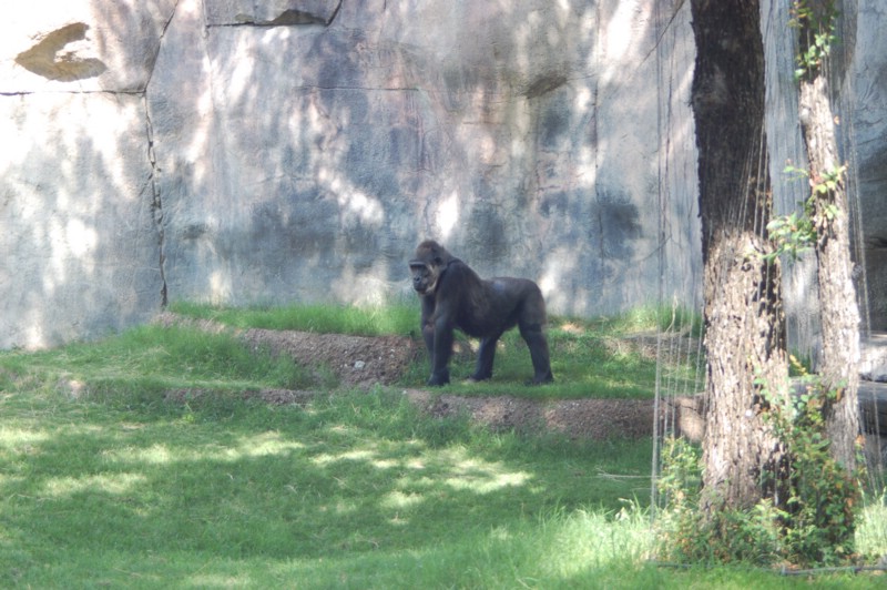DSC_0015.JPG