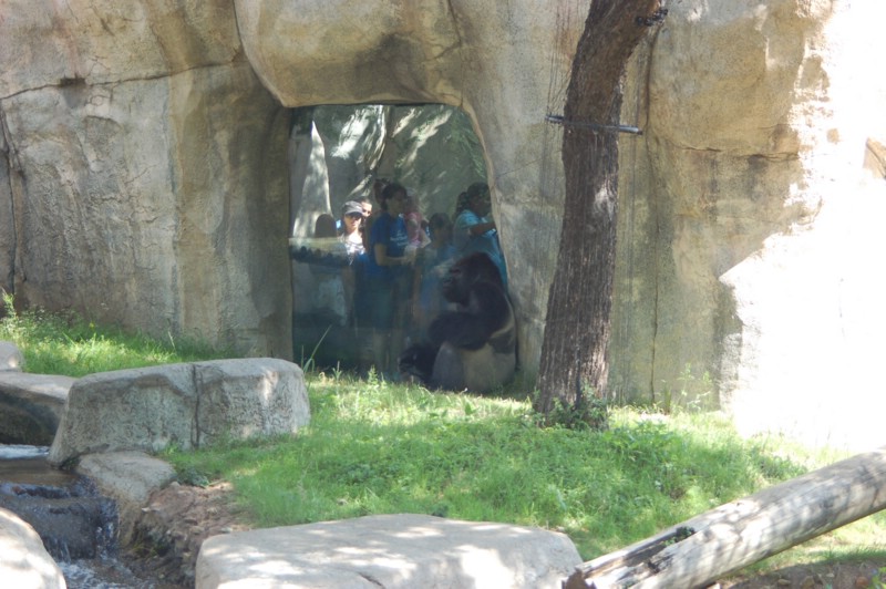 DSC_0016.JPG