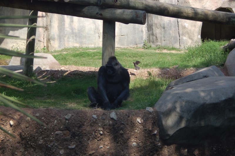 DSC_0017.JPG