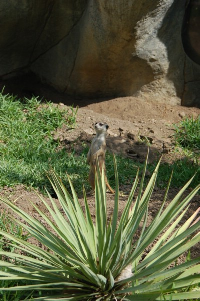 DSC_0019.JPG