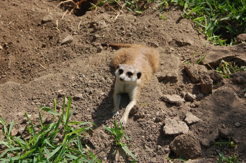 DSC_0022.JPG