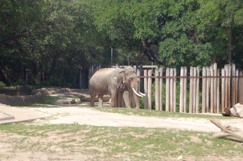 DSC_0024.JPG