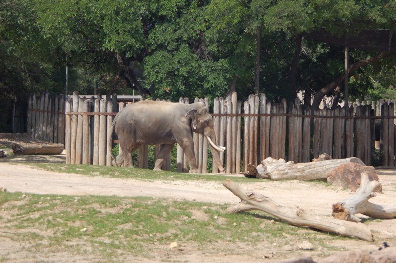 DSC_0025.JPG