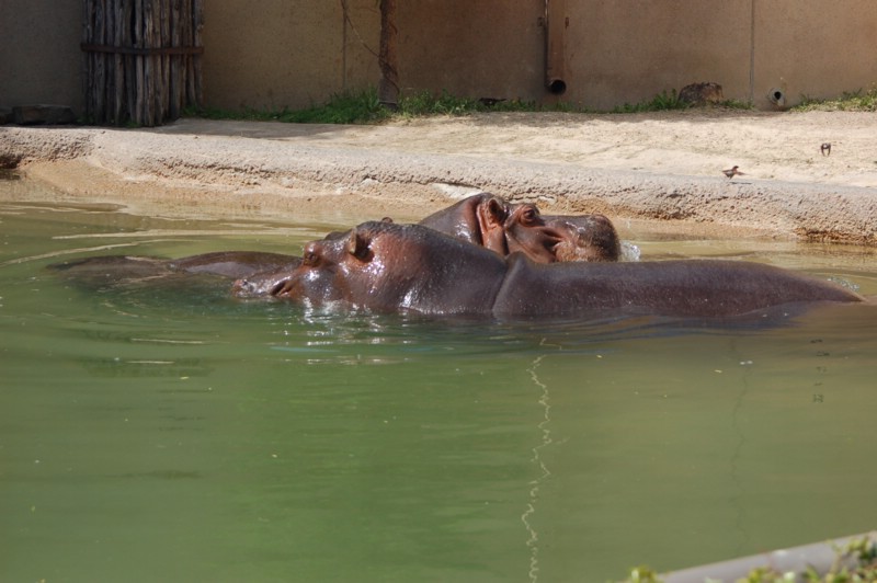 DSC_0030.JPG