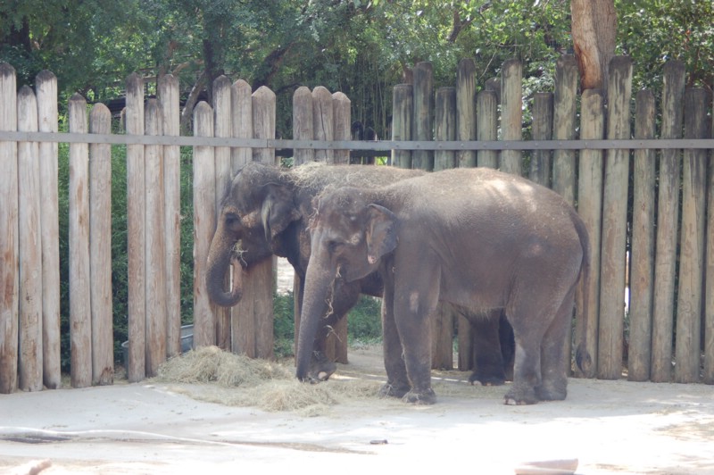 DSC_0032.JPG