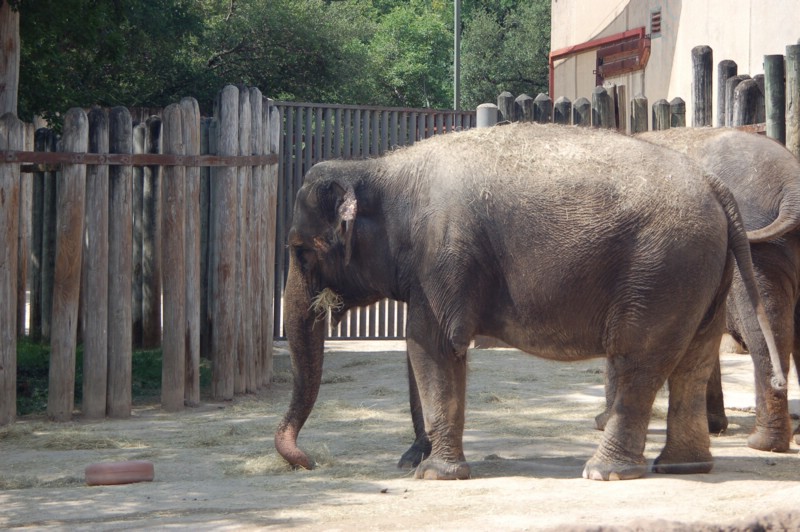 DSC_0035.JPG