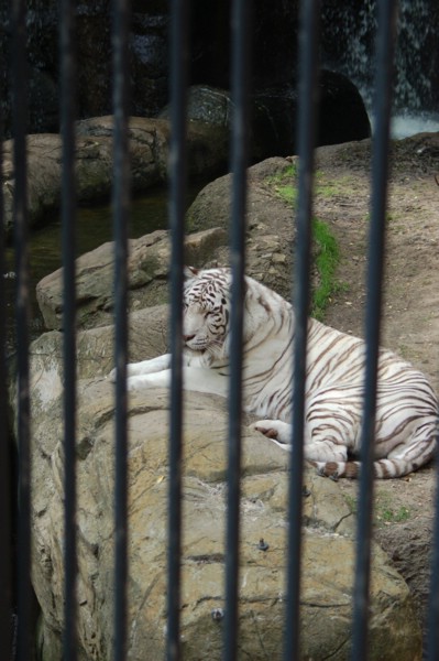 DSC_0039.JPG
