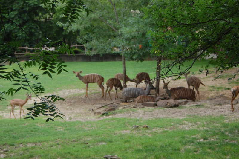 DSC_0043.JPG