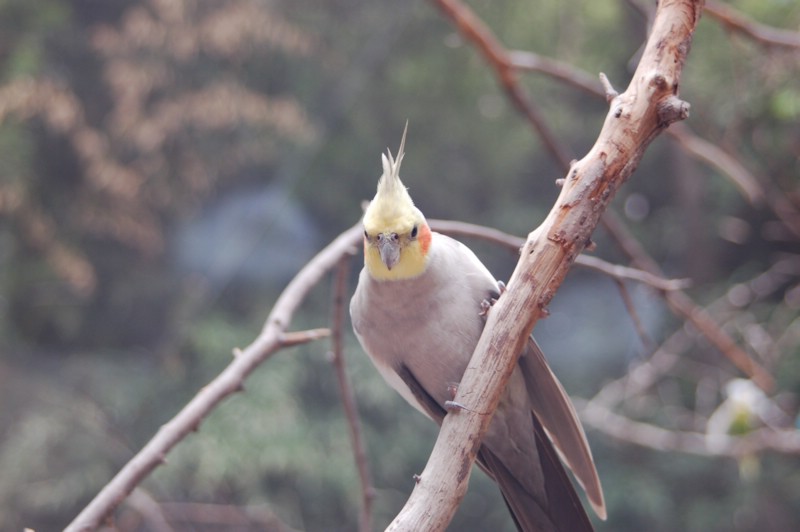 DSC_0044.JPG