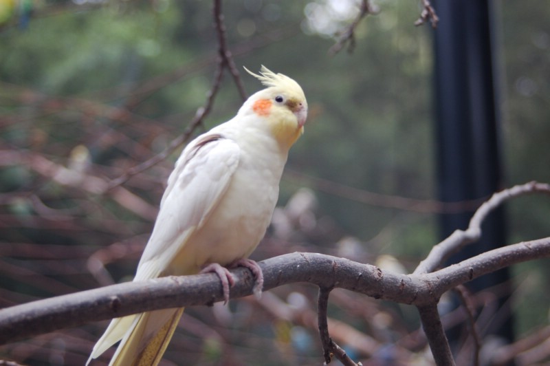 DSC_0045.JPG