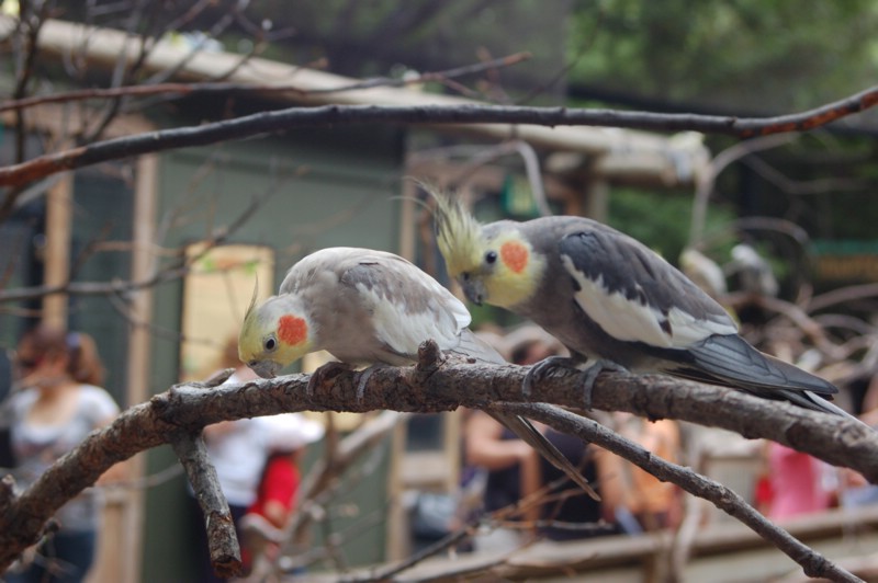 DSC_0049.JPG