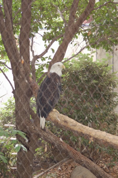 DSC_0053.JPG