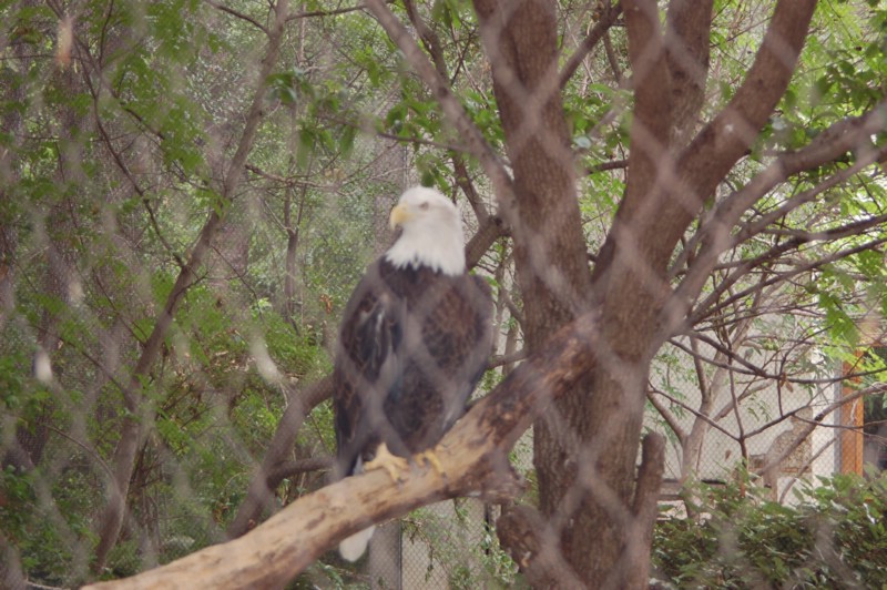DSC_0054.JPG